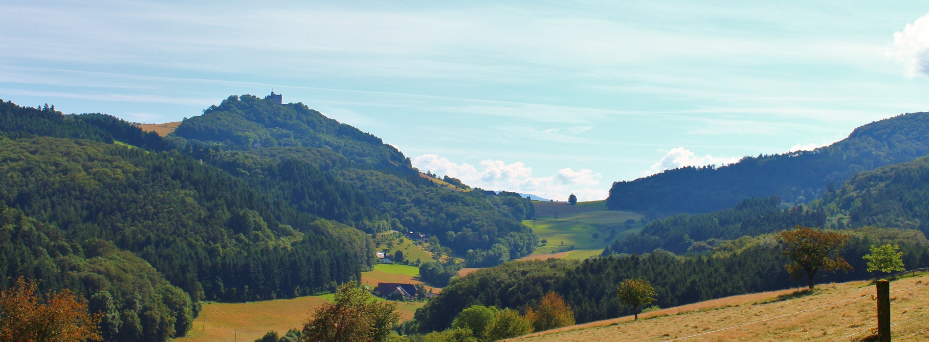 Blick auf die Burgruine Hohen Geroldseck auf dem Schönberg in Richtung Seelbach im Schwarzwald