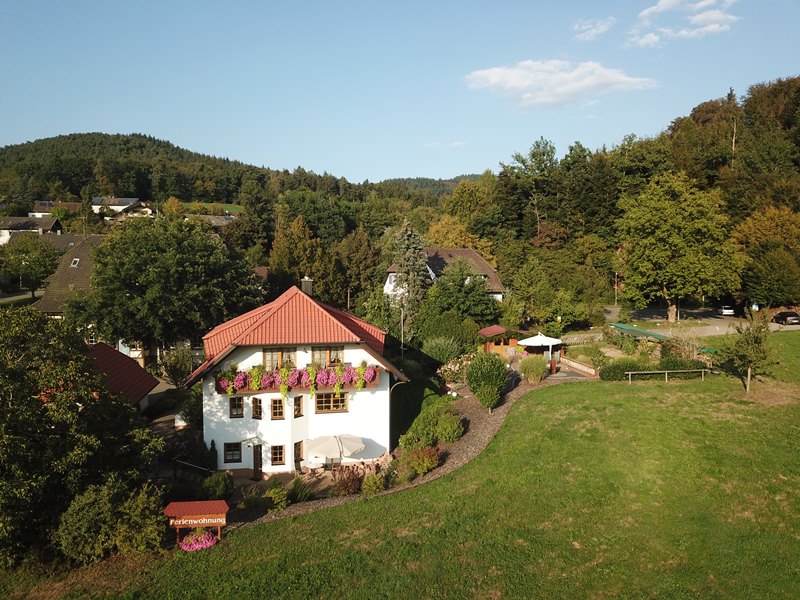 Drohnenaufnahme Ferienwohnungen Enders in Seelbach im Schwarzwald